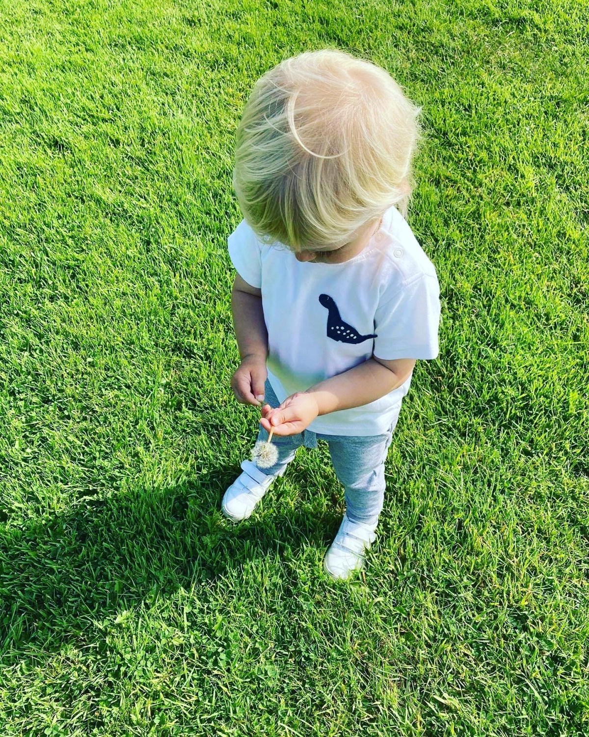 Things that made August Great!